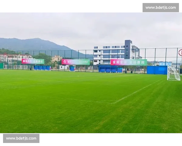 国际足联引领全球足球发展与治理变革新格局探索的历史使命与未来愿景