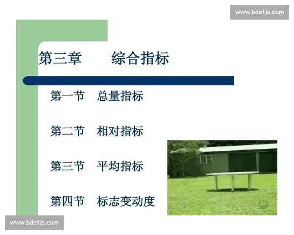 基于多维度指标的职业足球联赛数据统计与综合分析发展趋势研究 - 副本
