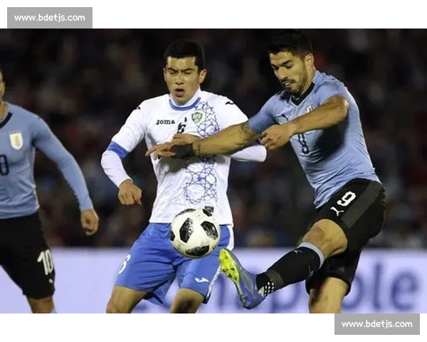 聚焦世界杯门票预售热潮与球迷抢购盛况全景观察市场前景解析趋势